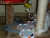 hexbug-nano_gal4