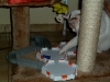 hexbugs-nano_gal2