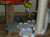 hexbugs-nano_gal3