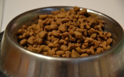 Katzenfutter – wer verbirgt sich hinter bekannten Marken?