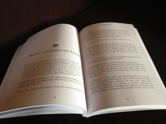 Buch_innen
