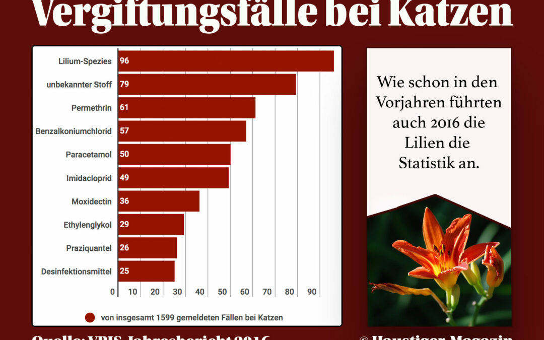 Vergiftungsfälle bei Katzen 2016 – VPIS