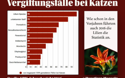 Vergiftungsfälle bei Katzen 2016 – VPIS