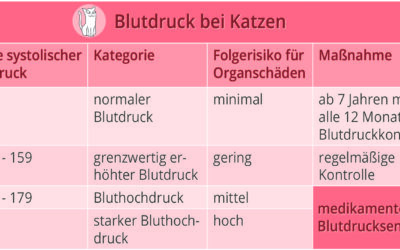 Vorsicht vor dem „stillen Killer“