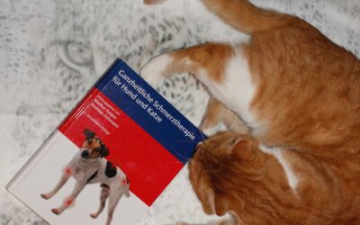 Buchrezension: Ganzheitliche Schmerztherapie für Hund und Katze