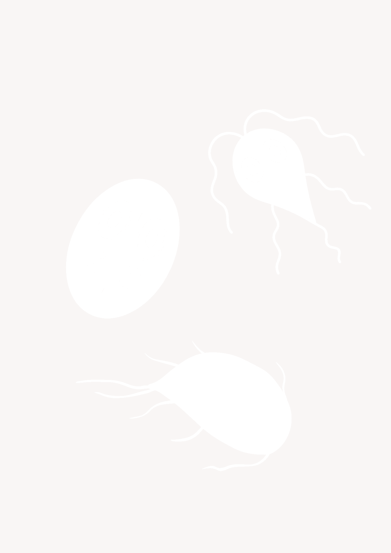 Giardien bei Katzen unter dem Mikroskop Giardien unter dem Mikroskop (computergeneriert)