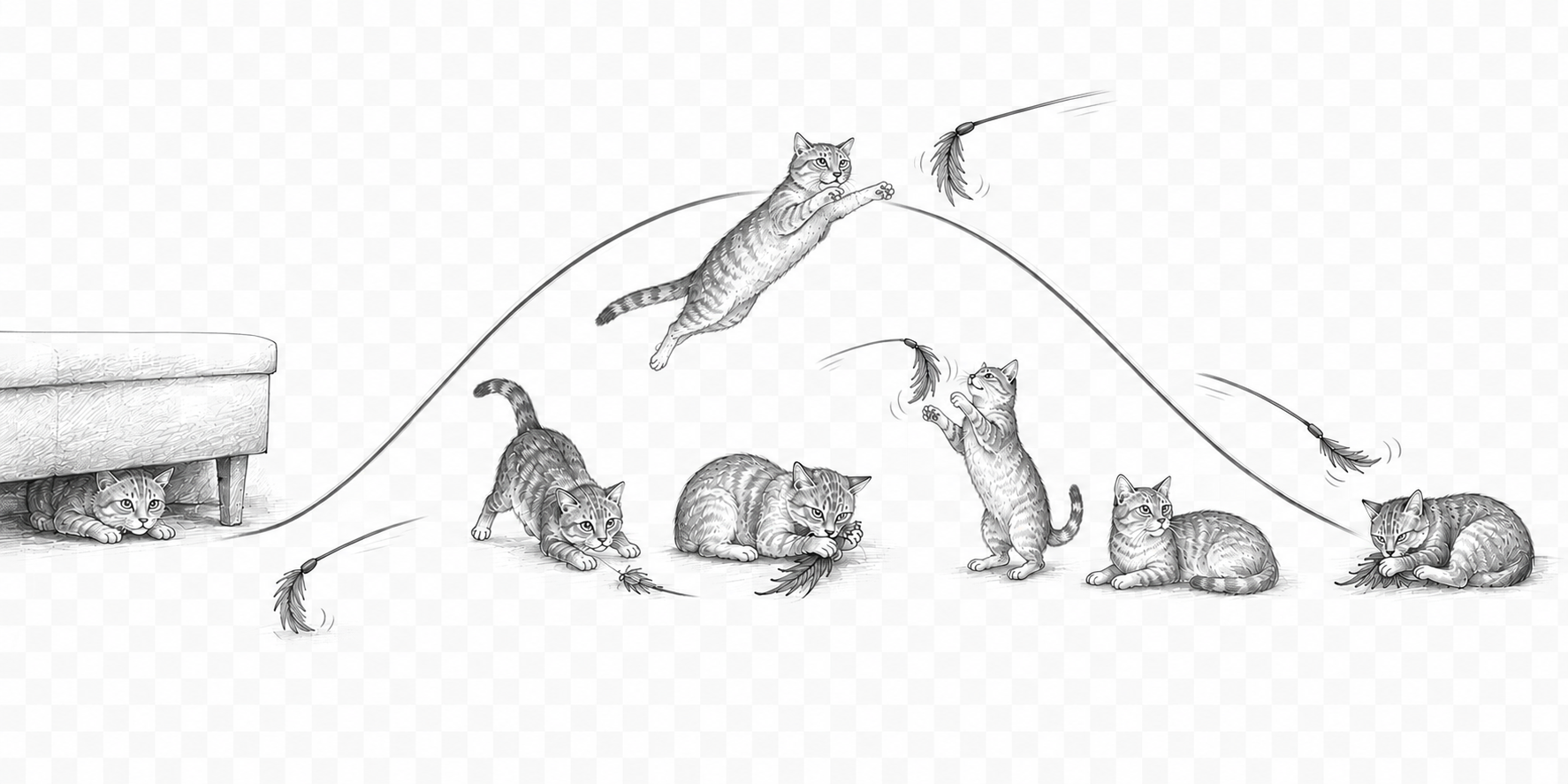 Spannungsbogen zum Spiel mit der Katze